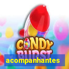 acompanhantes chamadas de video